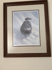 Mark chester print for sale  KINGSWINFORD