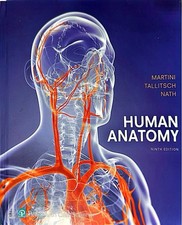 Human anatomy martin for sale  San Jose