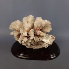 Scultura corallo base usato  Inverigo