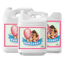Advanced nutrients bud gebraucht kaufen  Herzogenrath