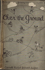 Ground cornell rural for sale  Hollis Center