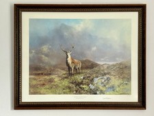 Prince rannoch moor for sale  BASINGSTOKE