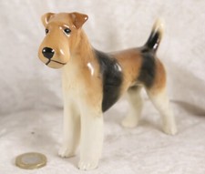 wire haired fox terrier for sale wire haired fox terrier for sale CAMELFORD