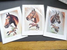 Arkle istabraq viking for sale  LOUGHTON