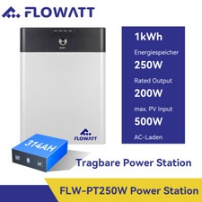 Flowatts 250w tragbare gebraucht kaufen  Langenlonsheim