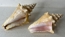 Set small queen for sale  Fleetwood