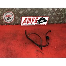 Faisceau honda 600 d'occasion Faisceau honda 600 d'occasion  France