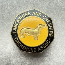 Lancashire cheshire dachshund for sale  NEWPORT