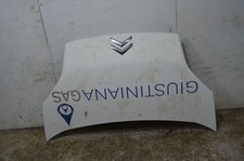 104042 cofano anteriore usato  Roma