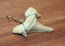 Haifisch zahn silbernen gebraucht kaufen  Dietenhofen