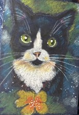 cat art for sale cat art for sale Greencastle