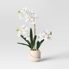 Luxe orchid geometric for sale  USA
