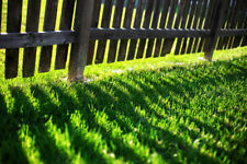 1kg premium shade for sale  MORETON-IN-MARSH