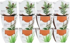 Buzzy seeds terracotta for sale  Rancho Cucamonga