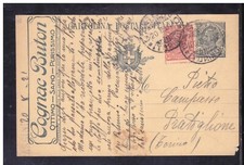 Cartolina postale tassello usato  Italia