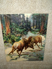 moose print for sale moose print for sale Portland