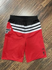 Chicago bulls shorts gebraucht kaufen  Markkleeberg