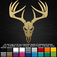 Deer skull huge for sale  Ruidoso