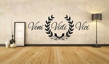 Veni vidi vici gebraucht kaufen  Reisbach