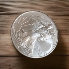 2008 silver eagle for sale  Edmonds