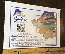 Printed king sailfish for sale  Lynn Haven