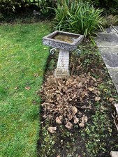 Garden stone bird for sale  ALTRINCHAM