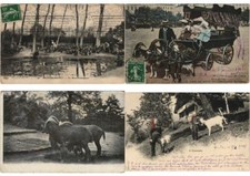 chevres d'occasion chevres d'occasion Expédié en Belgium