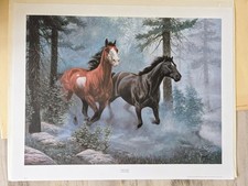 Chuck dehaan escape for sale  Panama City