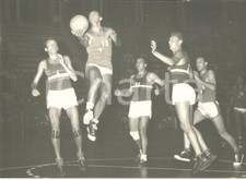 1956 bologna basket usato  Milano