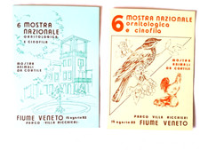 Cartoline fiume veneto usato  Italia