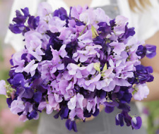 Sweet pea purple for sale  Sevierville