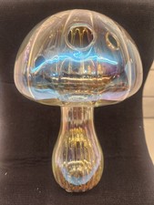 Usado, Vaso de vidro transparente com nervuras iridescente para propagação de plantas de cogumelo  comprar usado  Enviando para Brazil