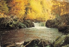 Saint mesmin saut d'occasion  France