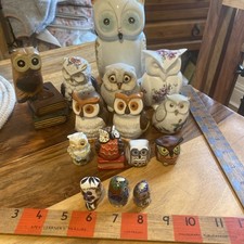 Collection owls fifteen usato  Spedire a Italy