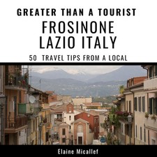 Greater than tourist gebraucht kaufen  Versand nach Germany