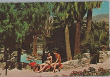 Two bunch palms for sale  Redondo Beach