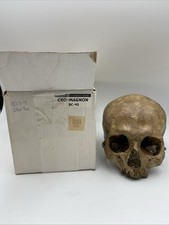 Bone clones crossword for sale  West Jordan