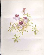 Original old antique for sale  UK