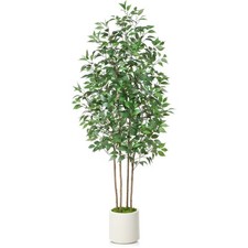 Ficus artificial tree for sale  Brentwood
