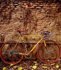 Usado, Bicicleta de estrada vintage Bartali da década de 1940 comprar usado  Enviando para Brazil