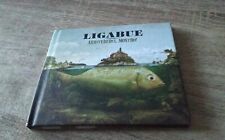 Digibook ligabue arrivederci usato  Carrara