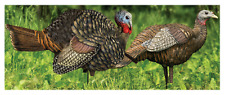 Avian avx avx8014 for sale  Rogers
