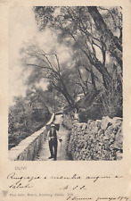 Cartolina olivi ticino usato Cartolina olivi ticino usato  Bologna