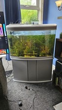 300l tropical tank for sale  BURNLEY