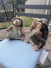 Two dora hedgehogs for sale  MANSFIELD