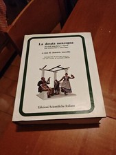 Dorata menzogna .societa usato  Brescia