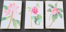 Beautiful vintage set for sale  Monrovia