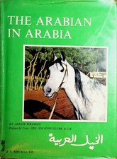 Arabian arabia wrangel for sale  PERSHORE