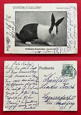 Zeitschrift kaninchenzüchter  gebraucht kaufen  Dresden