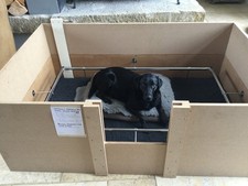 Large dog heavy for sale  MIDHURST